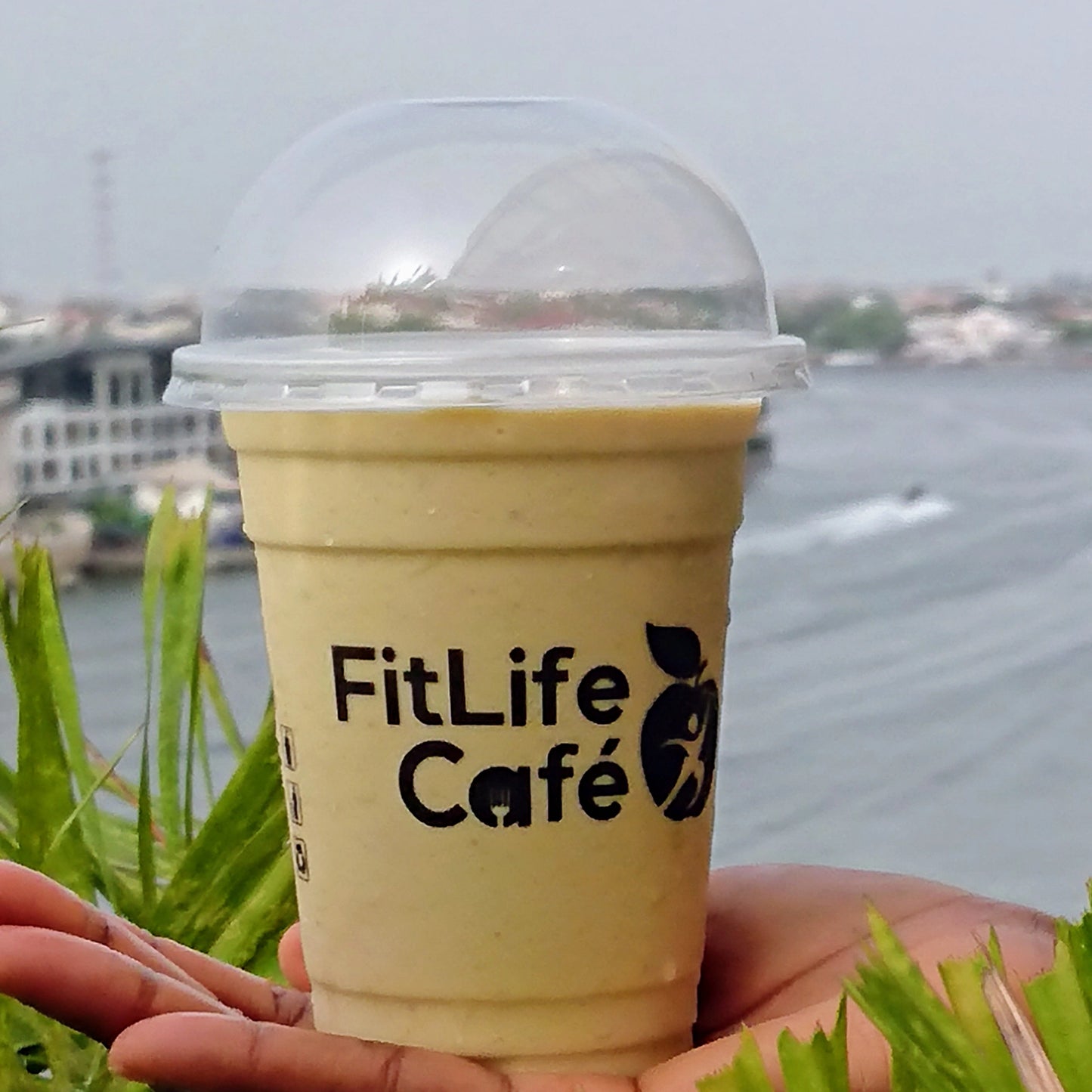 Mango Fruit Smoothie